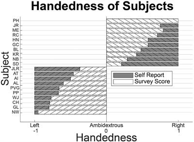 Effect of Tactile Sensory Substitution on the Proprioceptive Error Map of the Arm